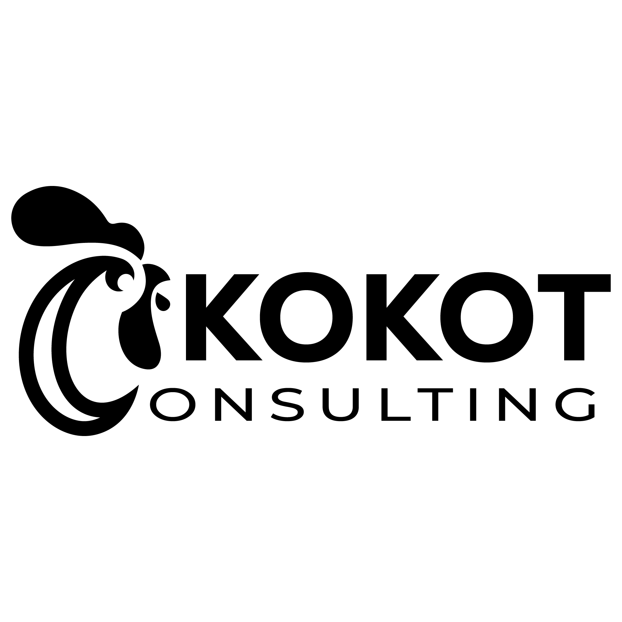 Kokot Consulting
